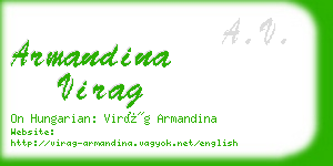 armandina virag business card
